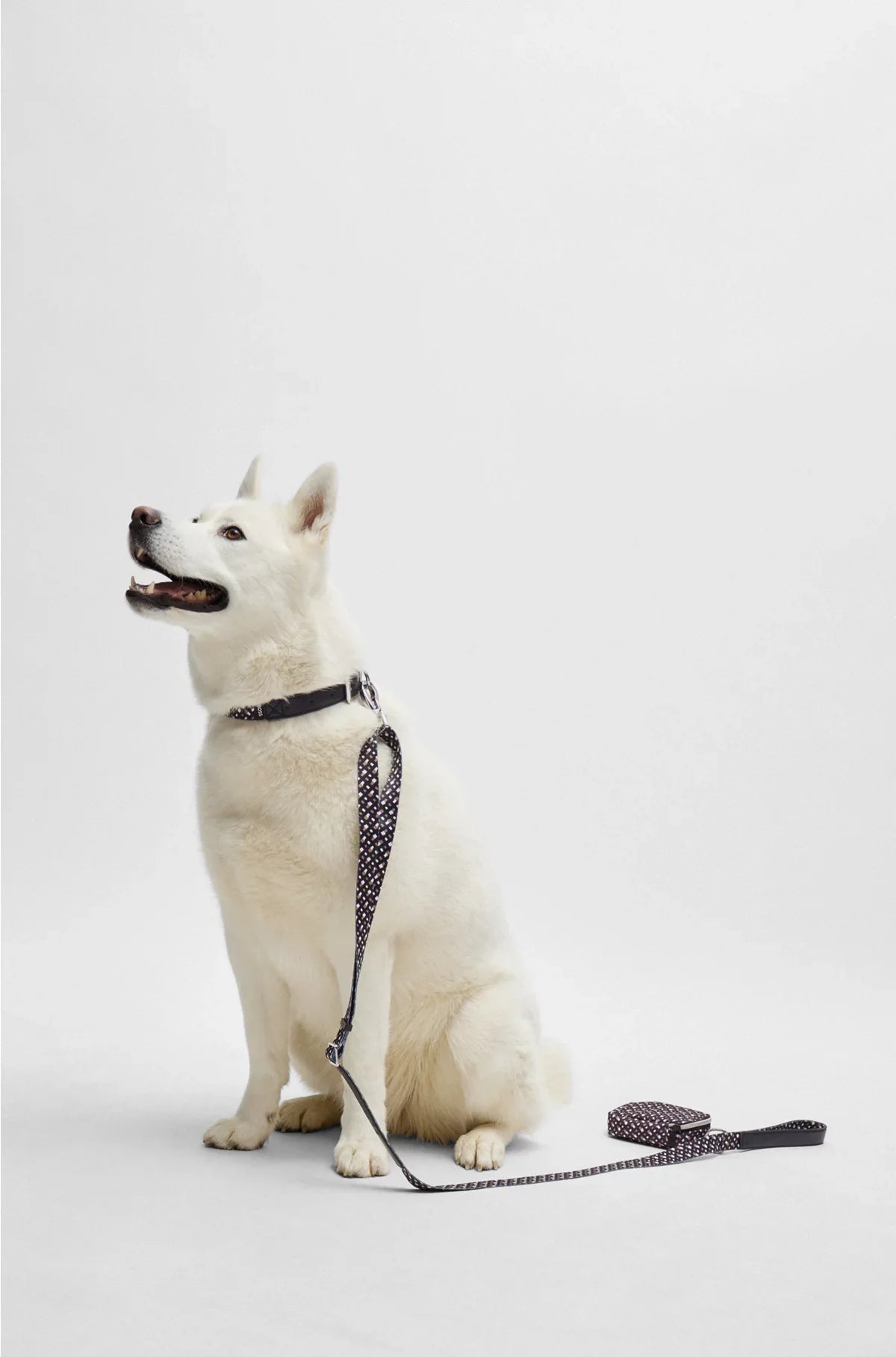DOG LEAD WITH LOGO EMBOSSING
