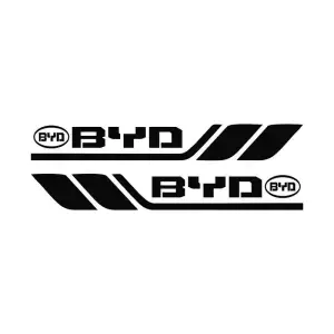 Offerta Imperdibile 🔥50% DI SCONTO🔥Adesivi Auto Sportiva Personalizzati🎉4 PEZZI🎉
