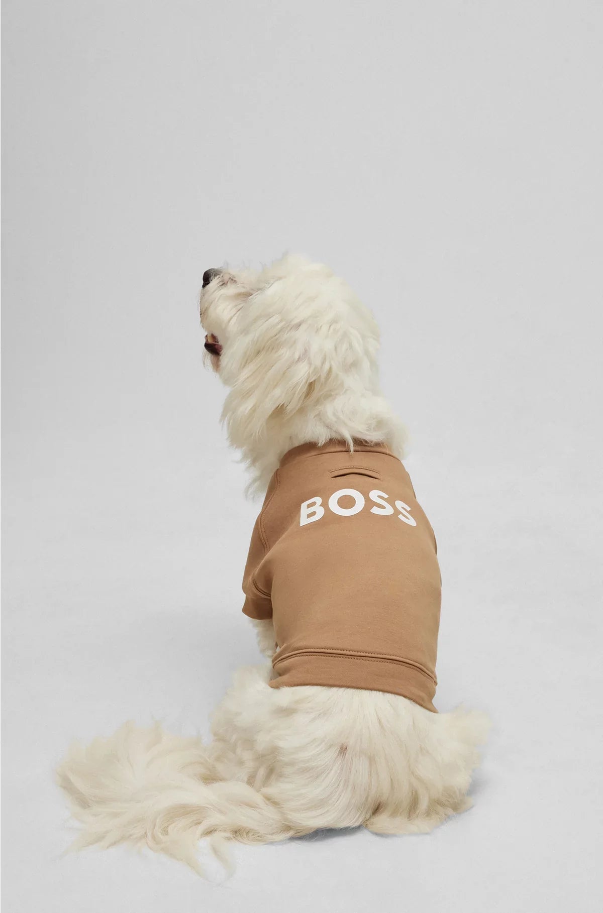 DOG SWEATER IN A COTTON BLEND
