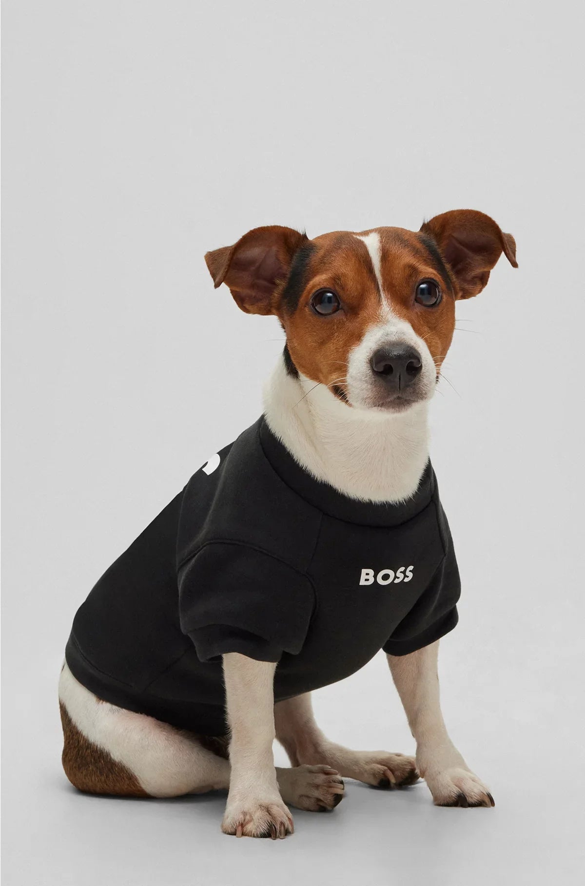 T-SHIRT DA CANE IN JERSEY DI MISTO COTONE