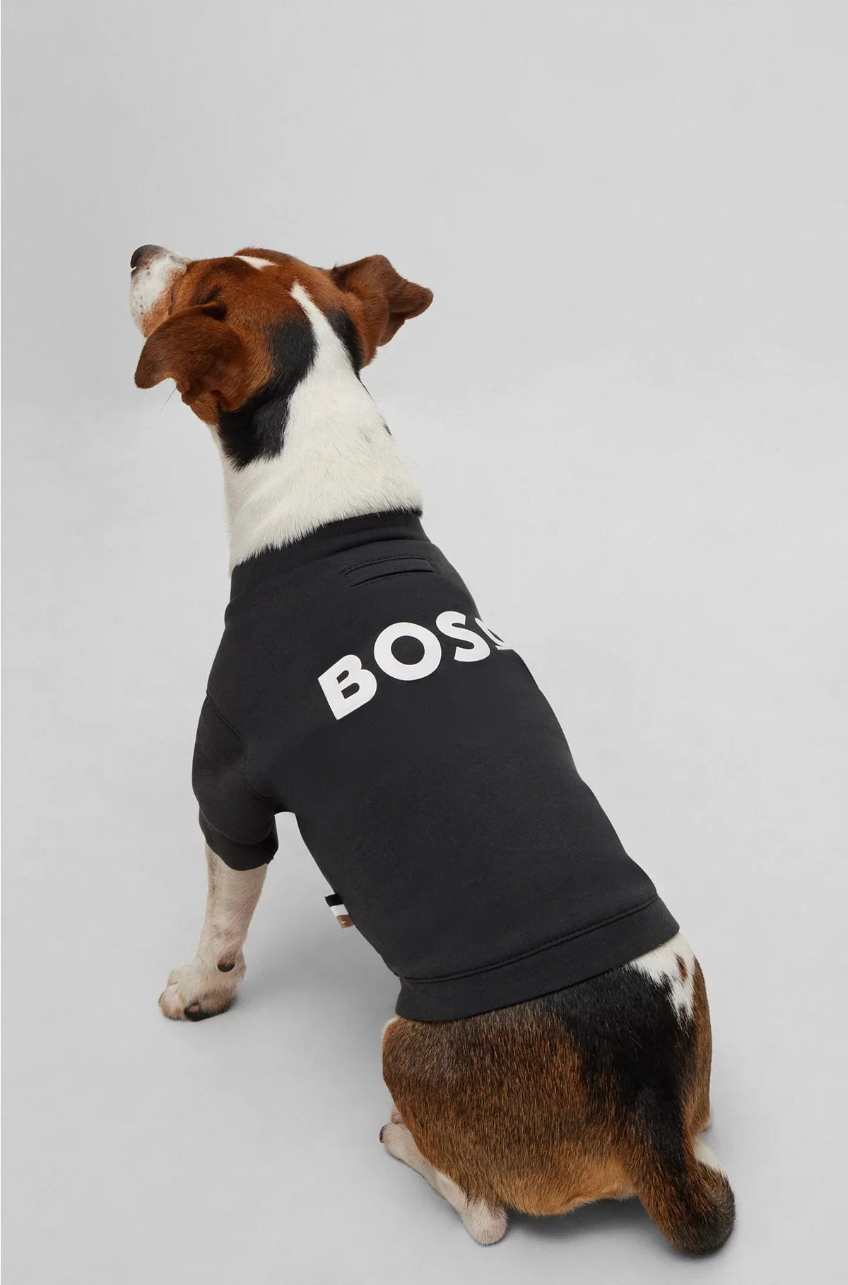 T-SHIRT DA CANE IN JERSEY DI MISTO COTONE