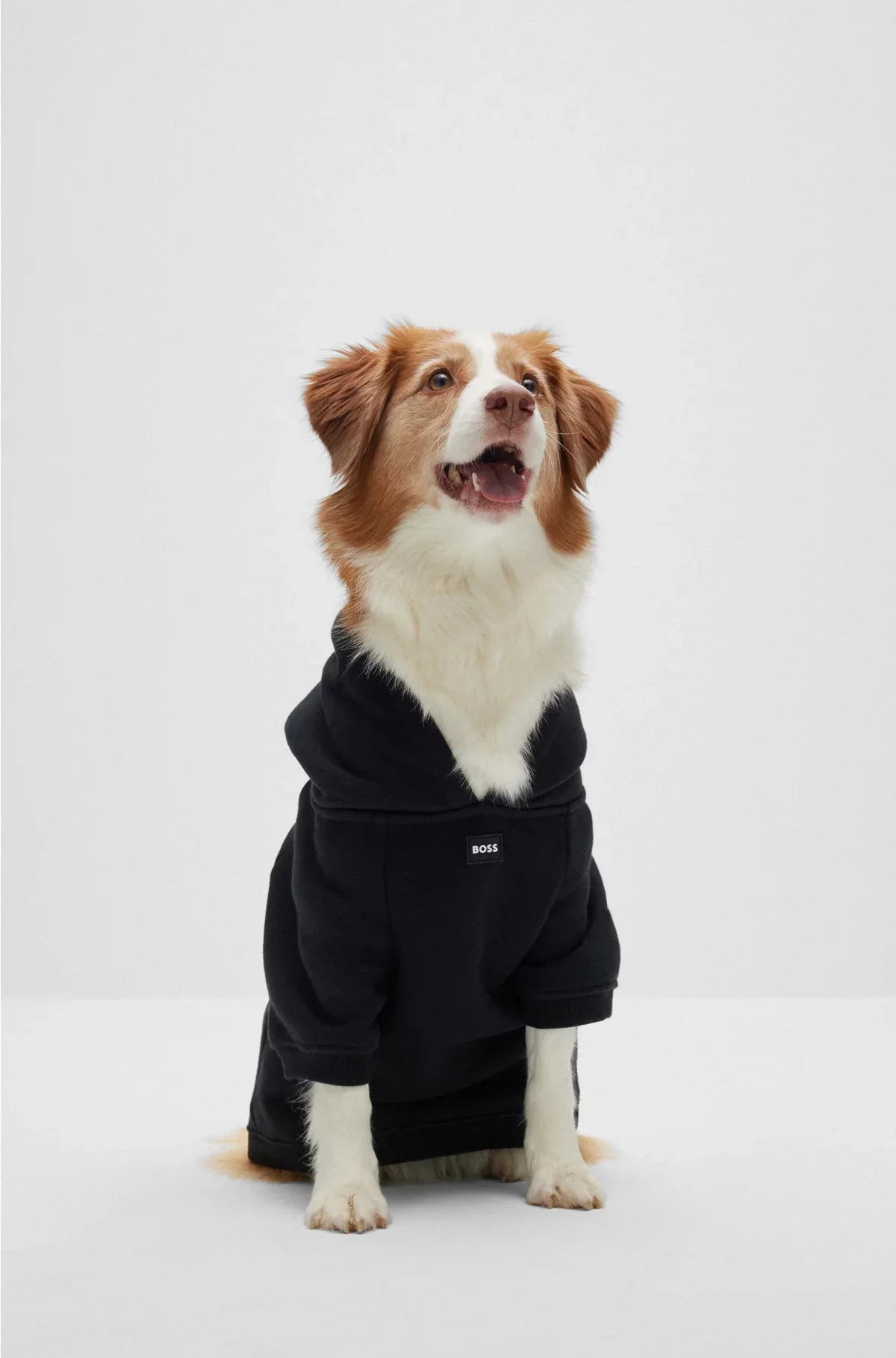 DOG HOODIE IN A COTTON BLEND WITH CONTRAST LOGO