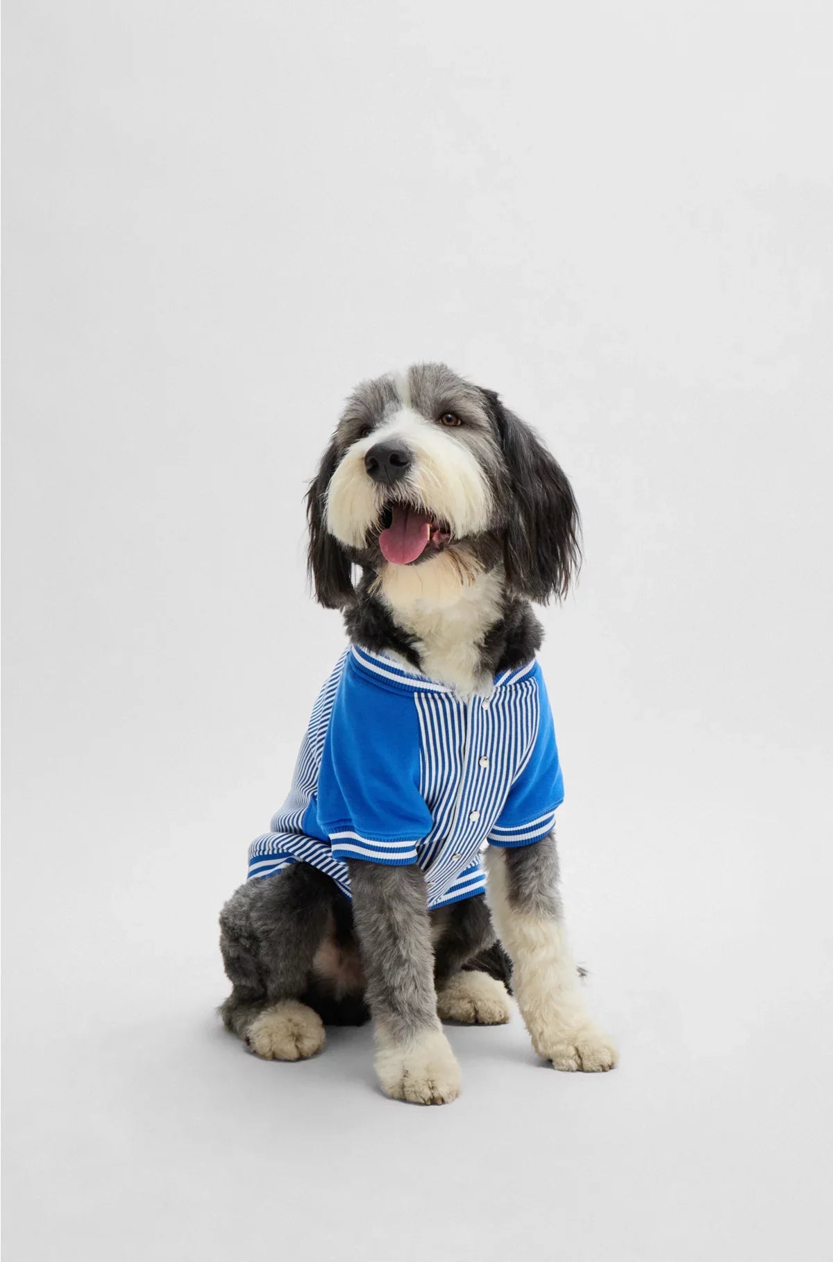 DOG BOMBER JACKET WITH EMBROIDERED LOGO