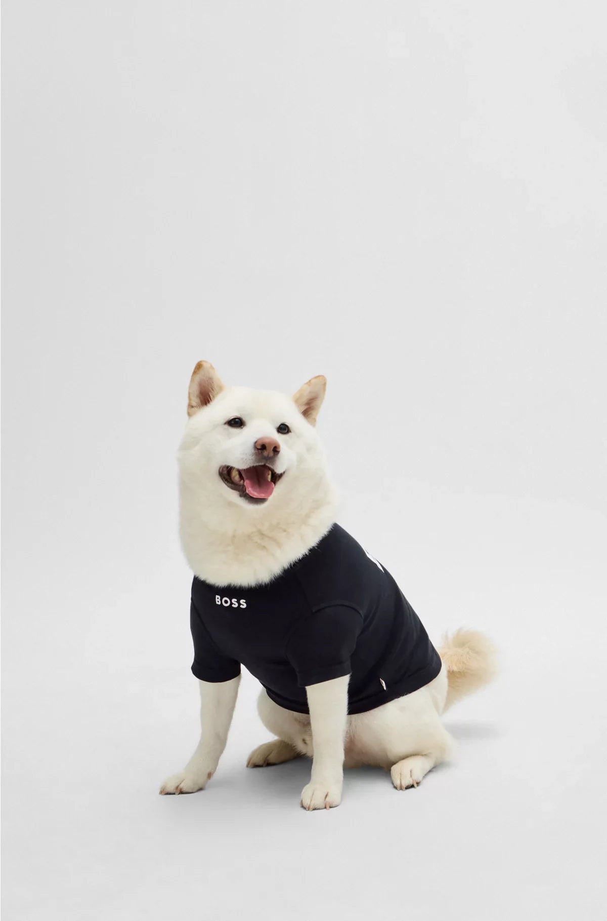 T-SHIRT DA CANE IN COTONE CON STAMPA LOGO